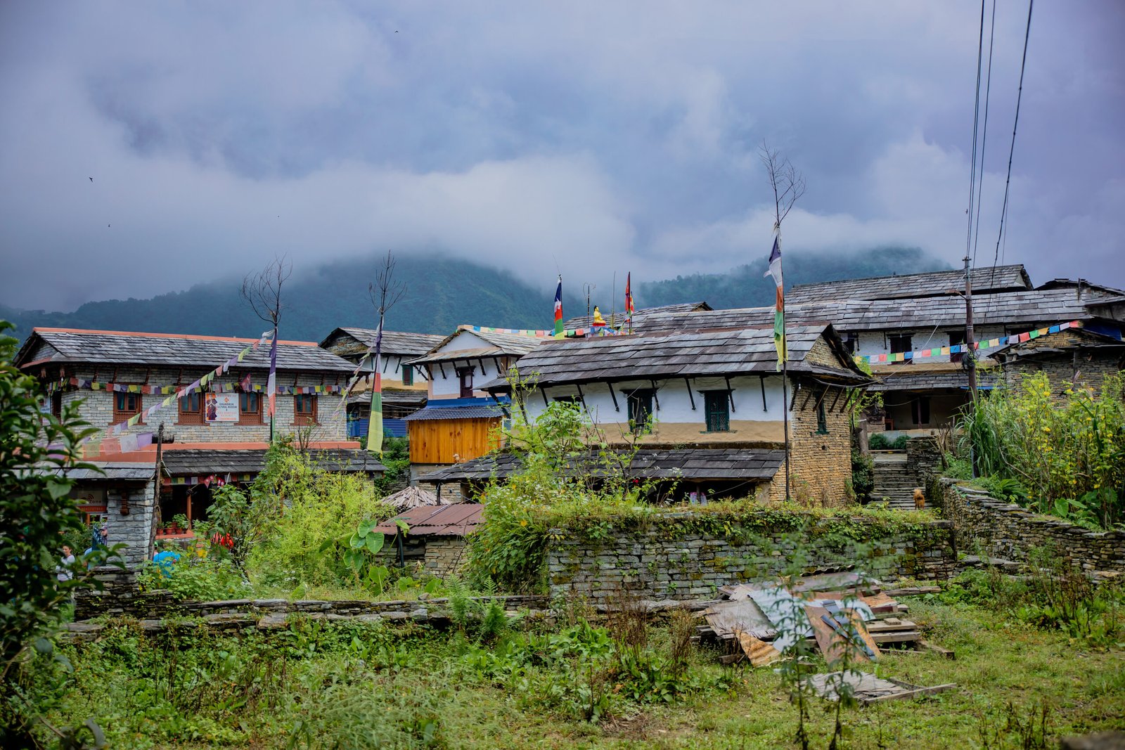 Panoramic view of Ghandruk village in the Himalayas with traditional slate-roofed homes and lush greenery.