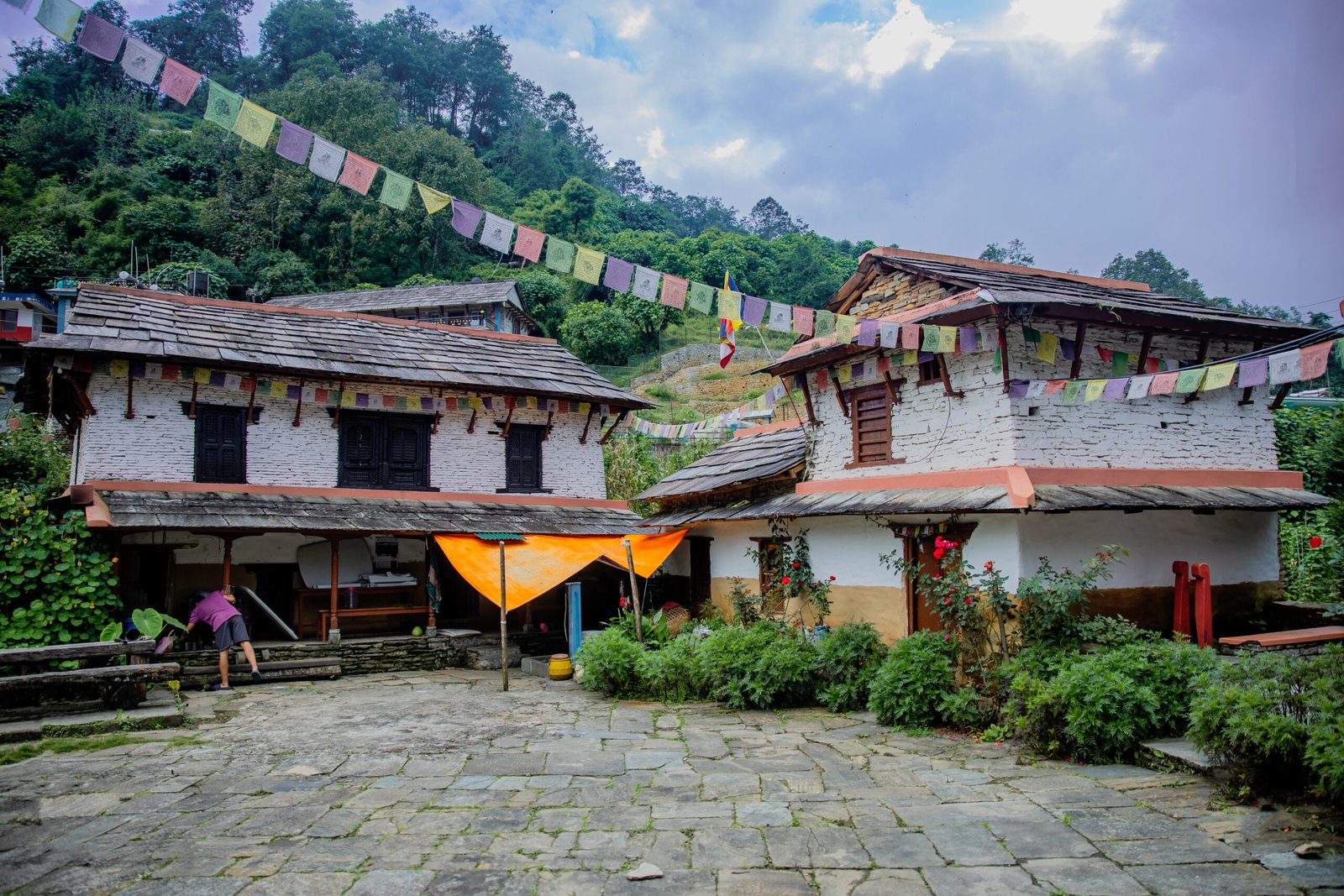 Ghandruk Gurung homestay courtyard with traditional whitewashed houses, prayer flags, and lush greenery, photo by Subash Thapa Magar.